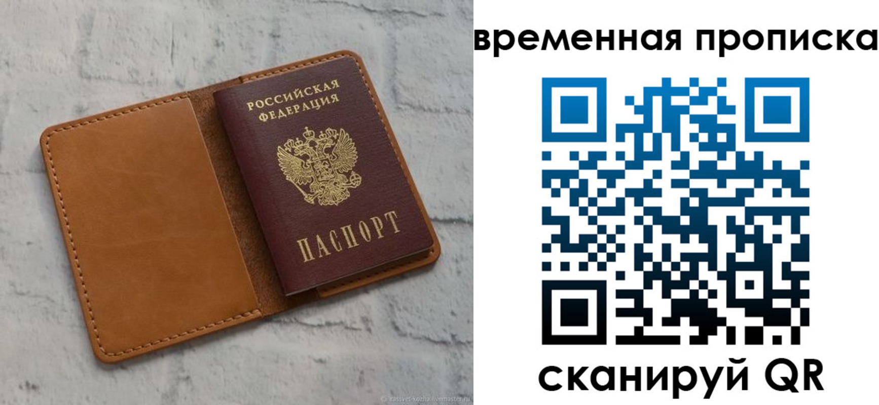 прописка поиск в Сегеже
